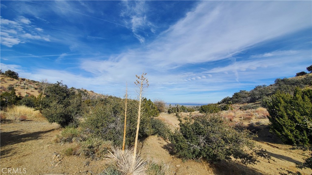 0 Vicinity Ross Road East Juniper Hills, CA 93543 - Photo 30 of 50 a view of a yard