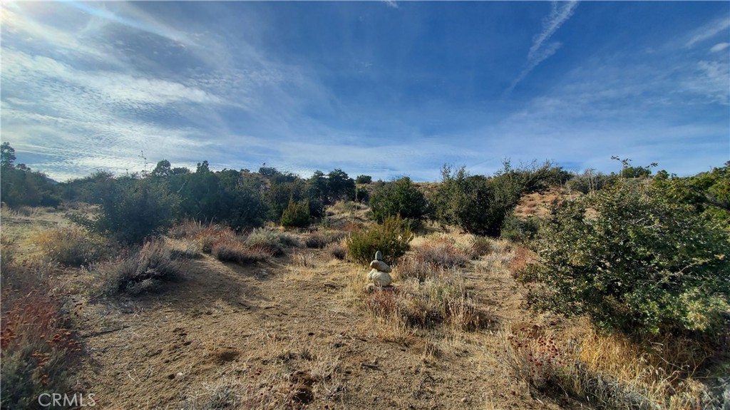 0 Vicinity Ross Road East Juniper Hills, CA 93543 - Photo 32 of 50 a view of a dry yard with lots of trees