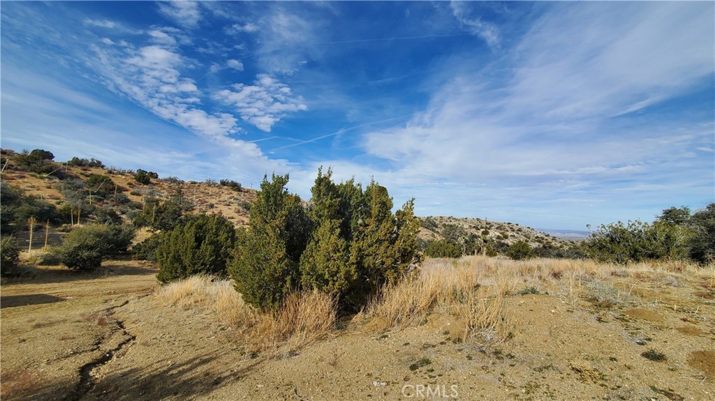 0 Vicinity Ross Road East Juniper Hills, CA 93543 - Photo 35 of 50 a view of snow covered with snow in back