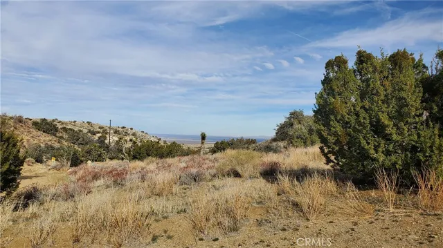 a view of mountain view with trees