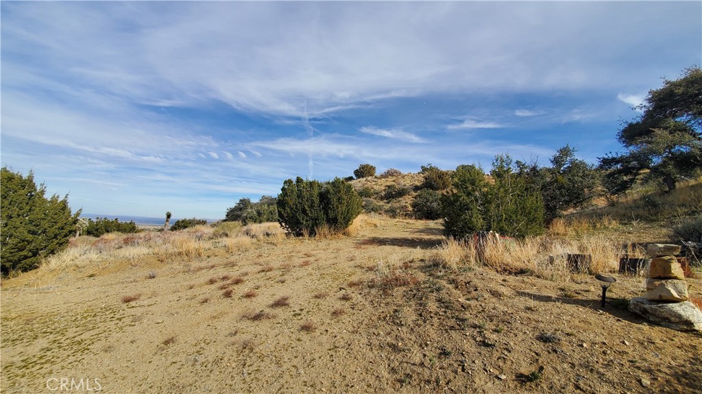 0 Vicinity Ross Road East Juniper Hills, CA 93543 - Photo 39 of 50 a view of a yard with a snow