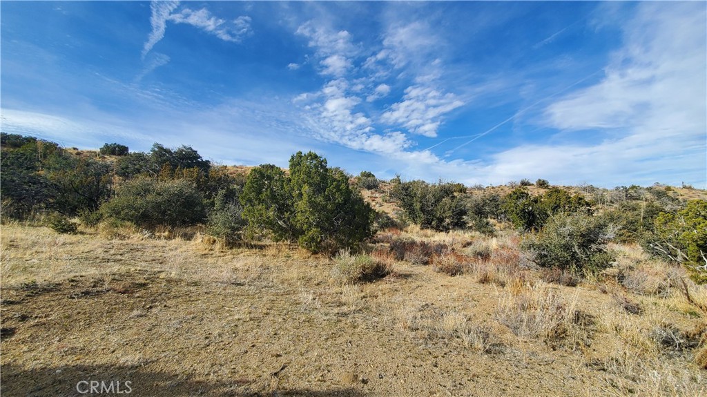 0 Vicinity Ross Road East Juniper Hills, CA 93543 - Photo 41 of 50 a view of a dry yard with trees in the background