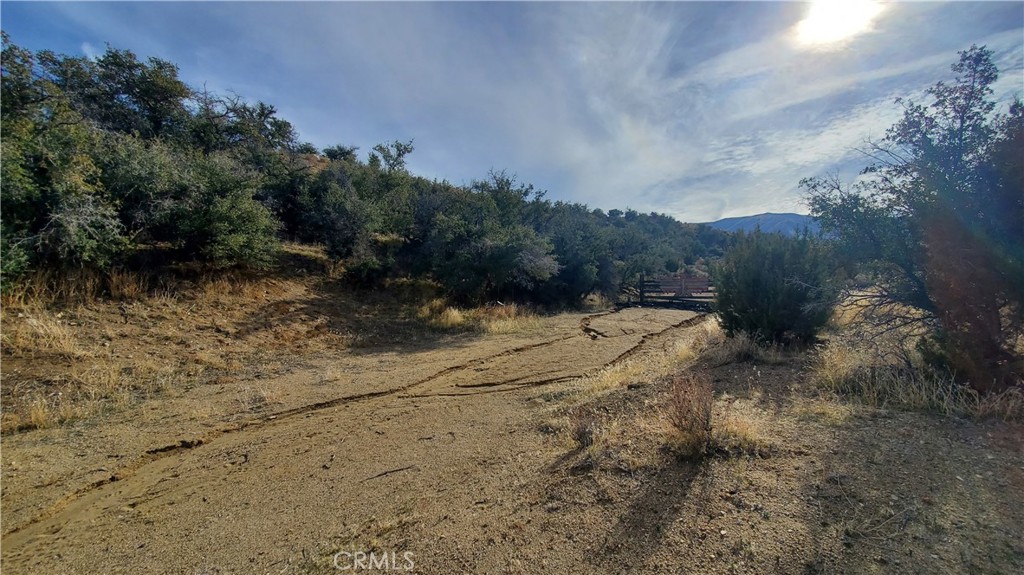 0 Vicinity Ross Road East Juniper Hills, CA 93543 - Photo 43 of 50 a view of a dry yard with trees in the background