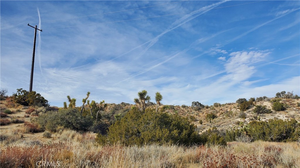 0 Vicinity Ross Road East Juniper Hills, CA 93543 - Photo 7 of 50