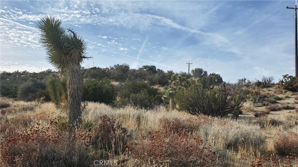0 Vicinity Ross Road East Juniper Hills, CA 93543 - Photo 8 of 50 a view of a yard and mountain