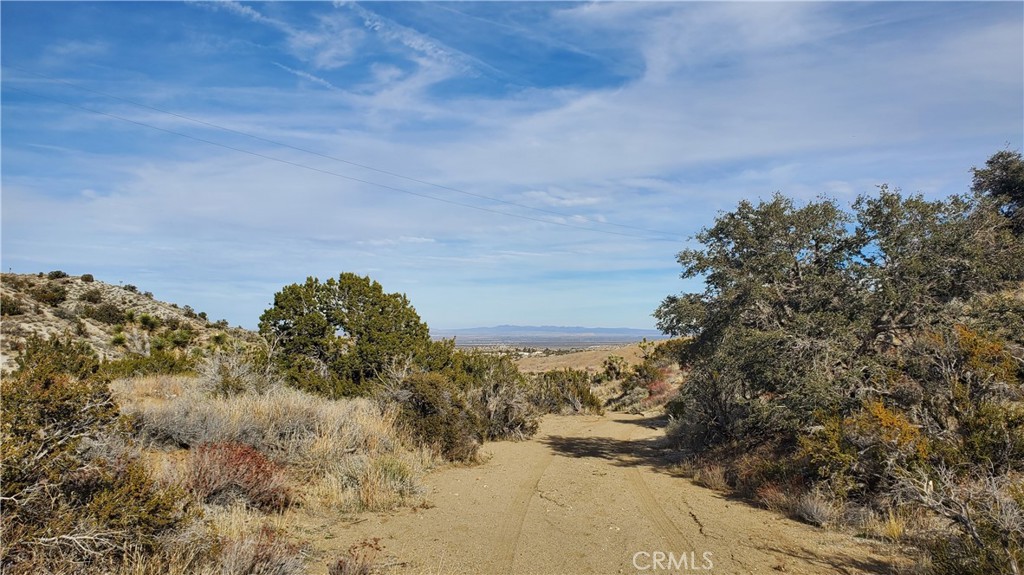 0 Vicinity Ross Road East Juniper Hills, CA 93543 - Photo 9 of 50