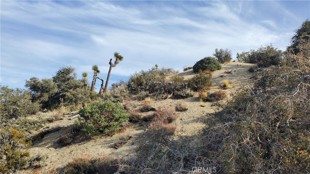 0 Vicinity Ross Road East Juniper Hills, CA 93543 - Photo 10 of 50 a view of a dry yard with lots of green space
