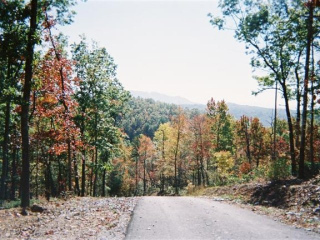 850 Bluff Road Marble, NC 28905 - Photo 2 of 8
