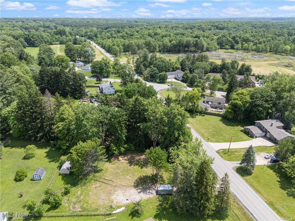 8377 Valley View Road Macedonia, OH 44056 - Photo 10 of 14 Drone / aerial view of a forest