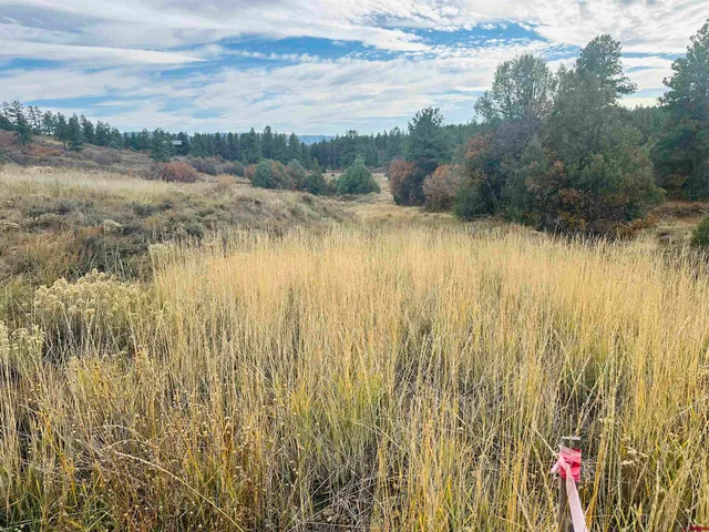 a view of a field with wooden fence