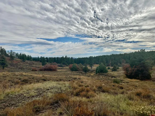 a view of a dry yard with mountains and valleys in the background