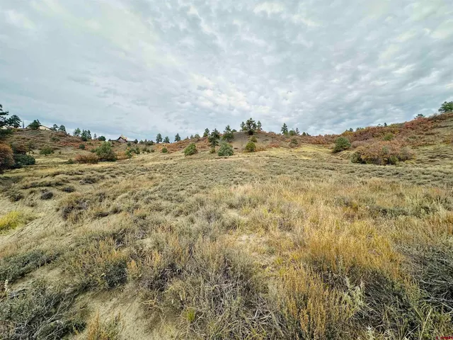 a view of outdoor space with green field and trees