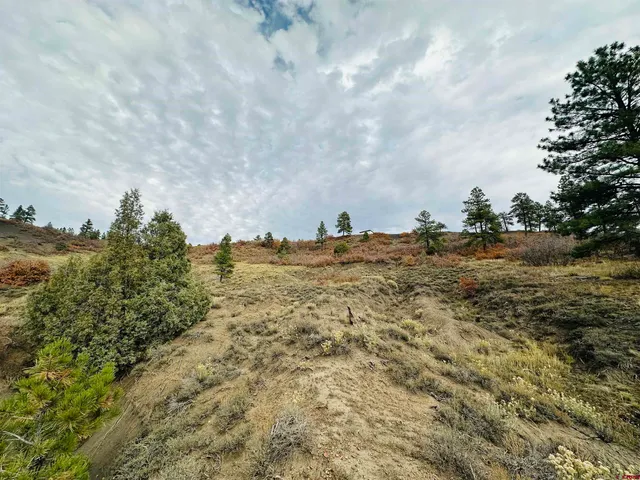 $149,000 | 633 East McCabe Street, Pagosa Springs, CO 81147