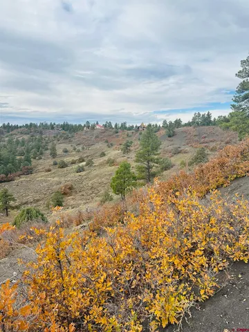 a view of an ocean and beach
