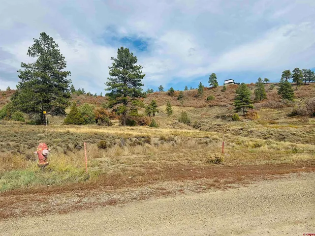 a view of a dry yard with wooden fence