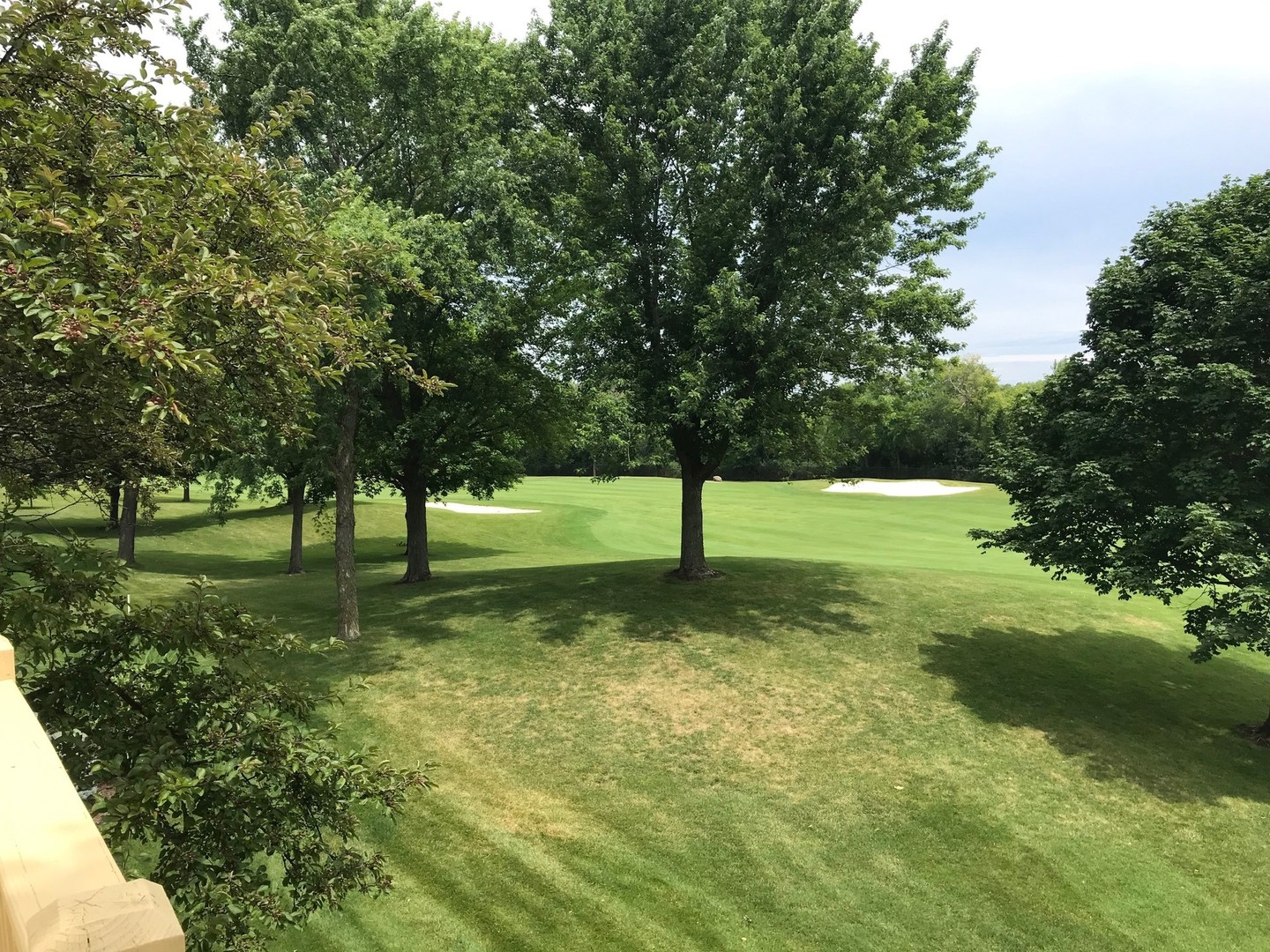 6 Olympic Court Lake In The Hills, IL 60156 - Photo 23 of 32 a view of a tree in a yard