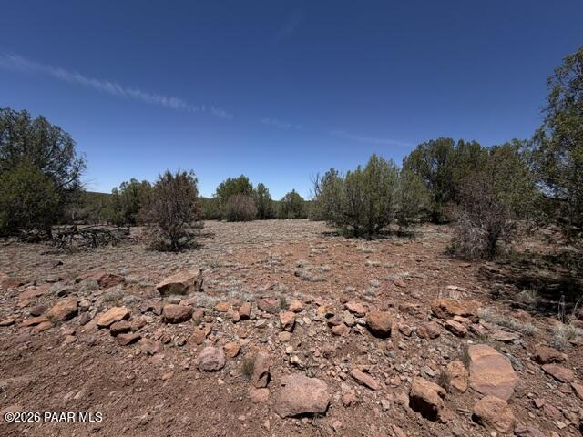 356 D Sierra Verde Ranch Seligman, AZ 86337 - Photo 9 of 9 a view of a dry yard with trees in the background