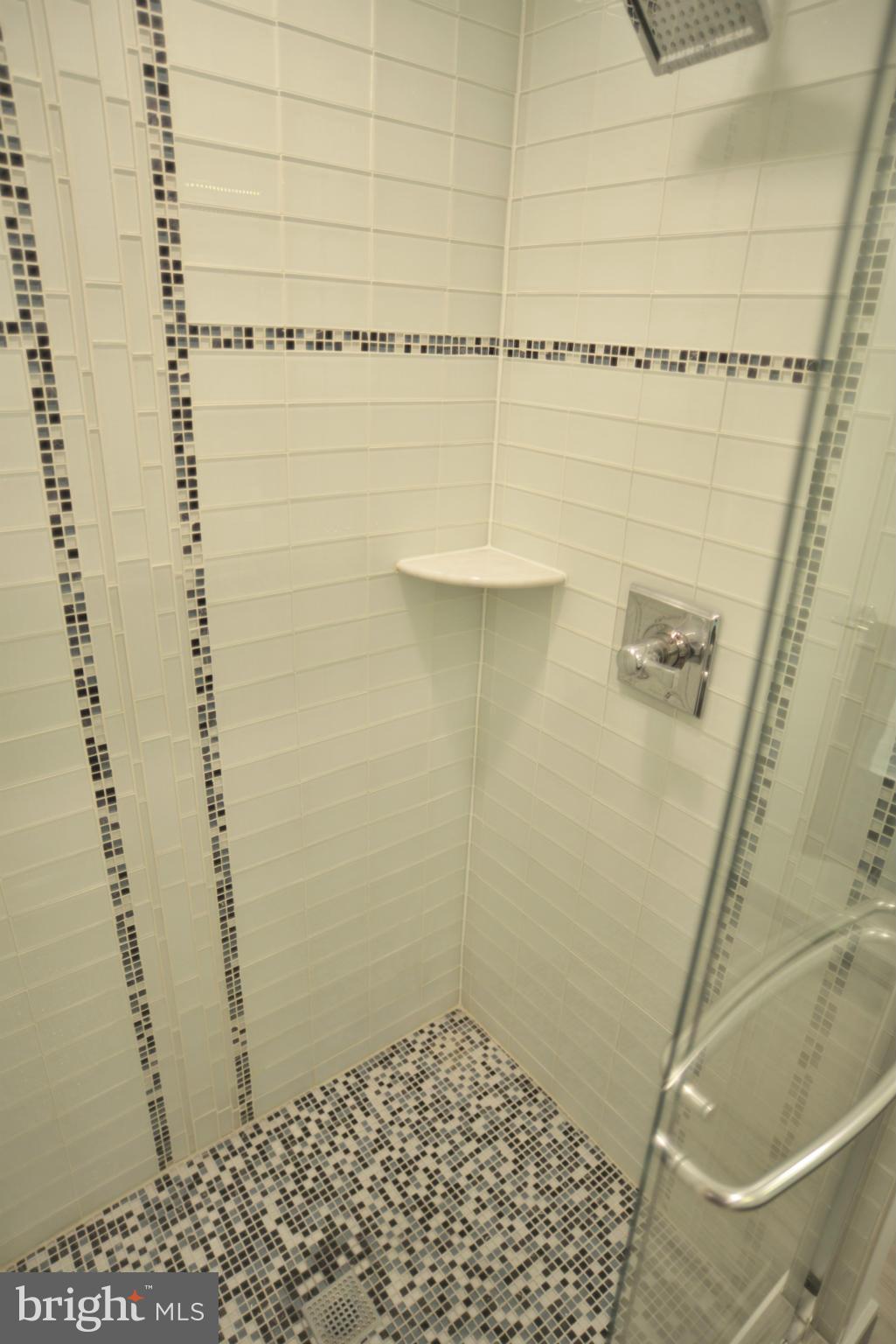 24417 Hanson Road Gaithersburg, MD 20882 - Photo 22 of 30 Bath (Master)