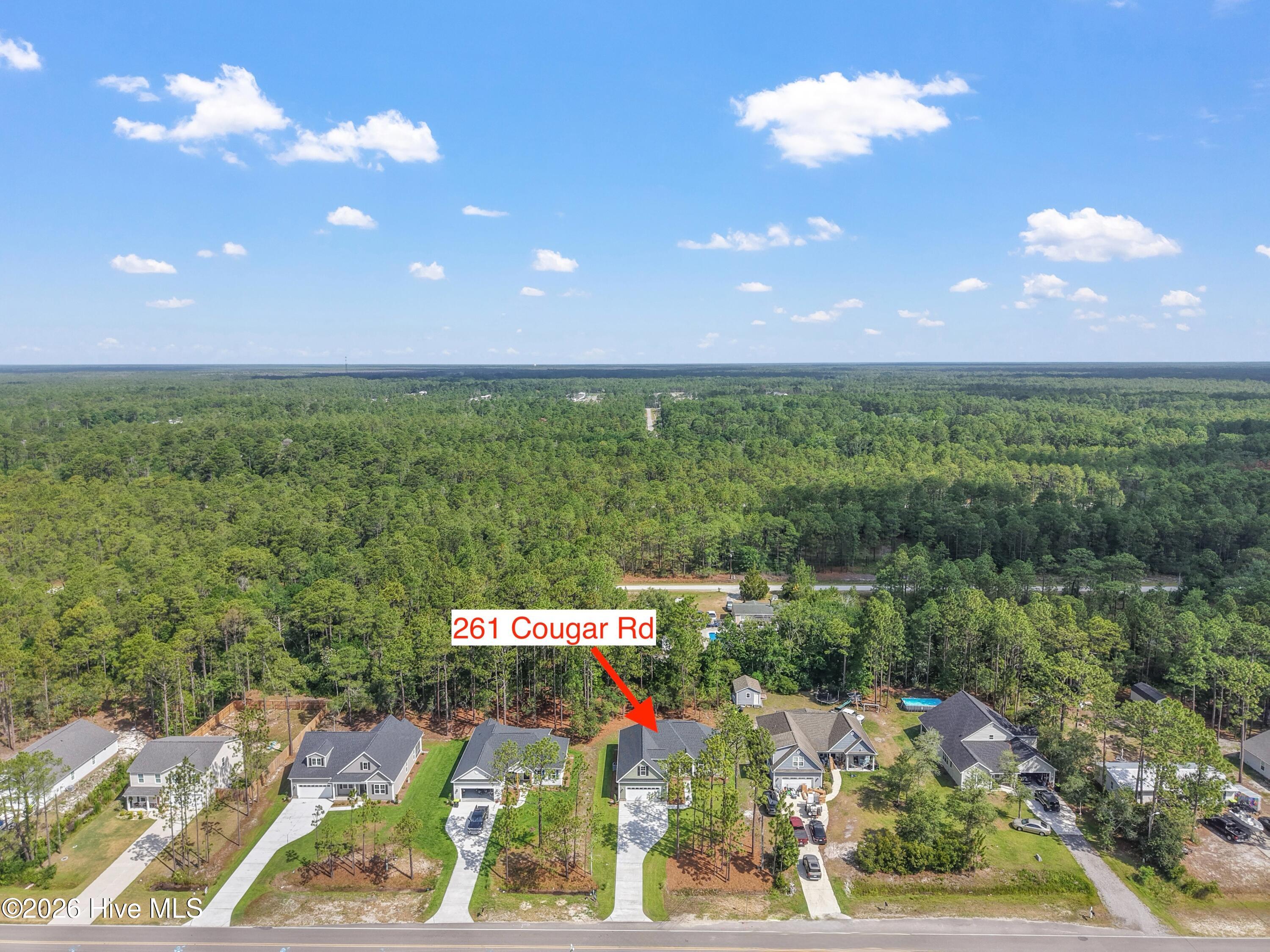 261 Cougar Road Southport, NC 28461 - Photo 58 of 72 Gallery Image 58