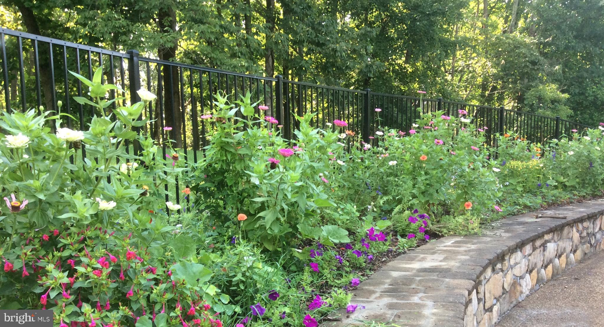 3850 Cobbler Mountain Road Delaplane, VA 20144 - Photo 116 of 132 Seasonal flowers in pool area