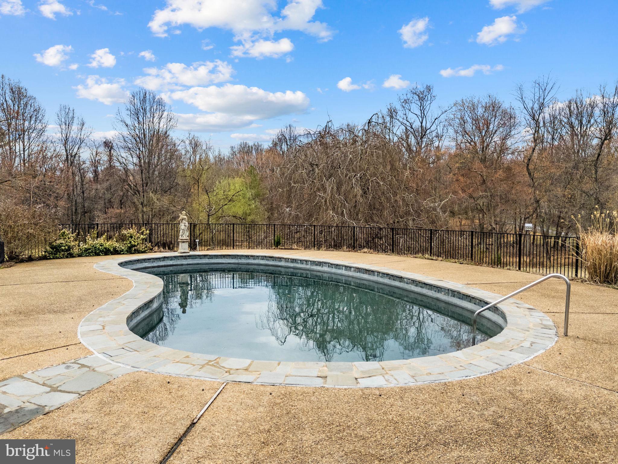 3850 Cobbler Mountain Road Delaplane, VA 20144 - Photo 117 of 132 Pool