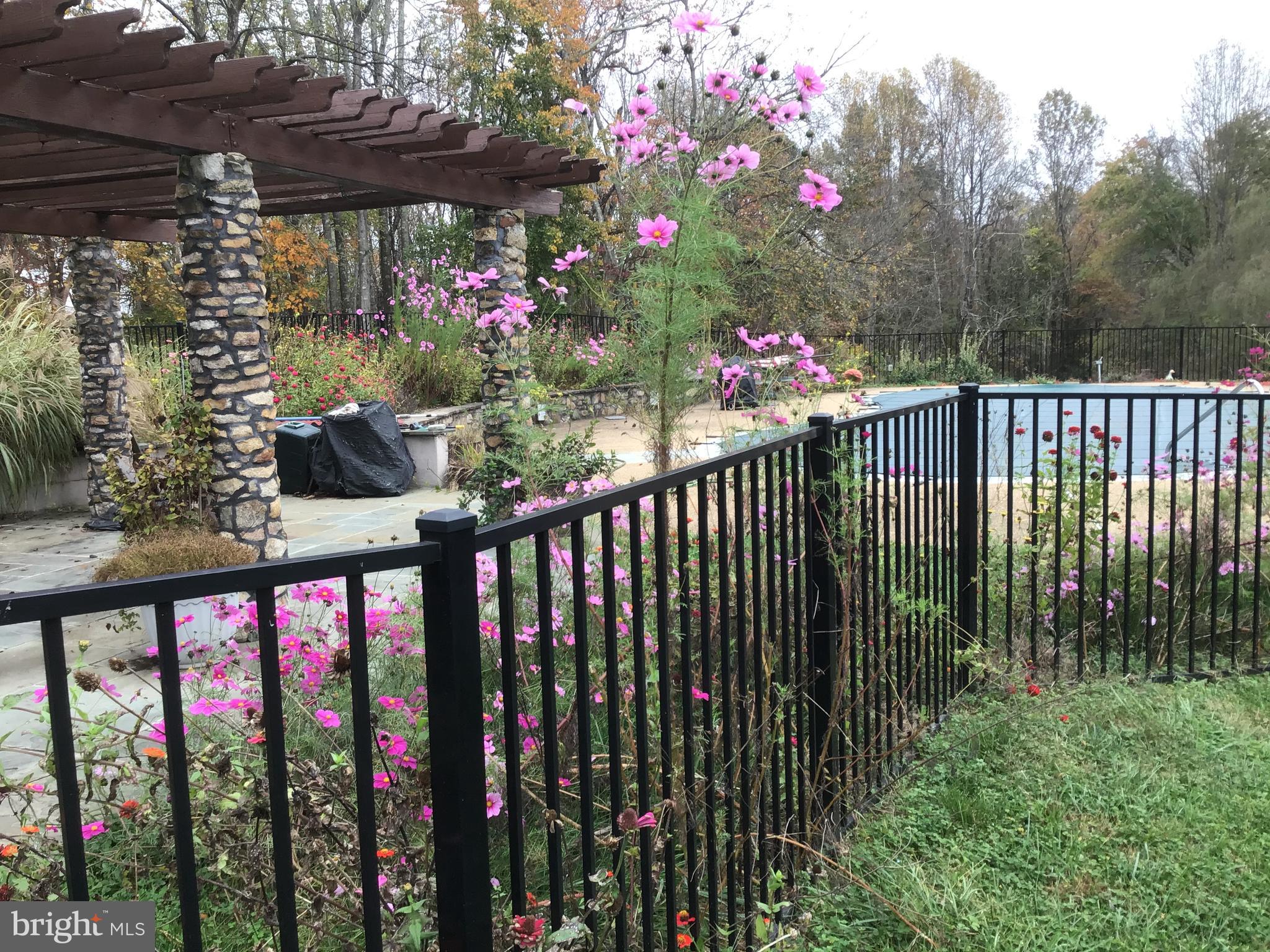 3850 Cobbler Mountain Road Delaplane, VA 20144 - Photo 118 of 132 Seasonal flowers at pool