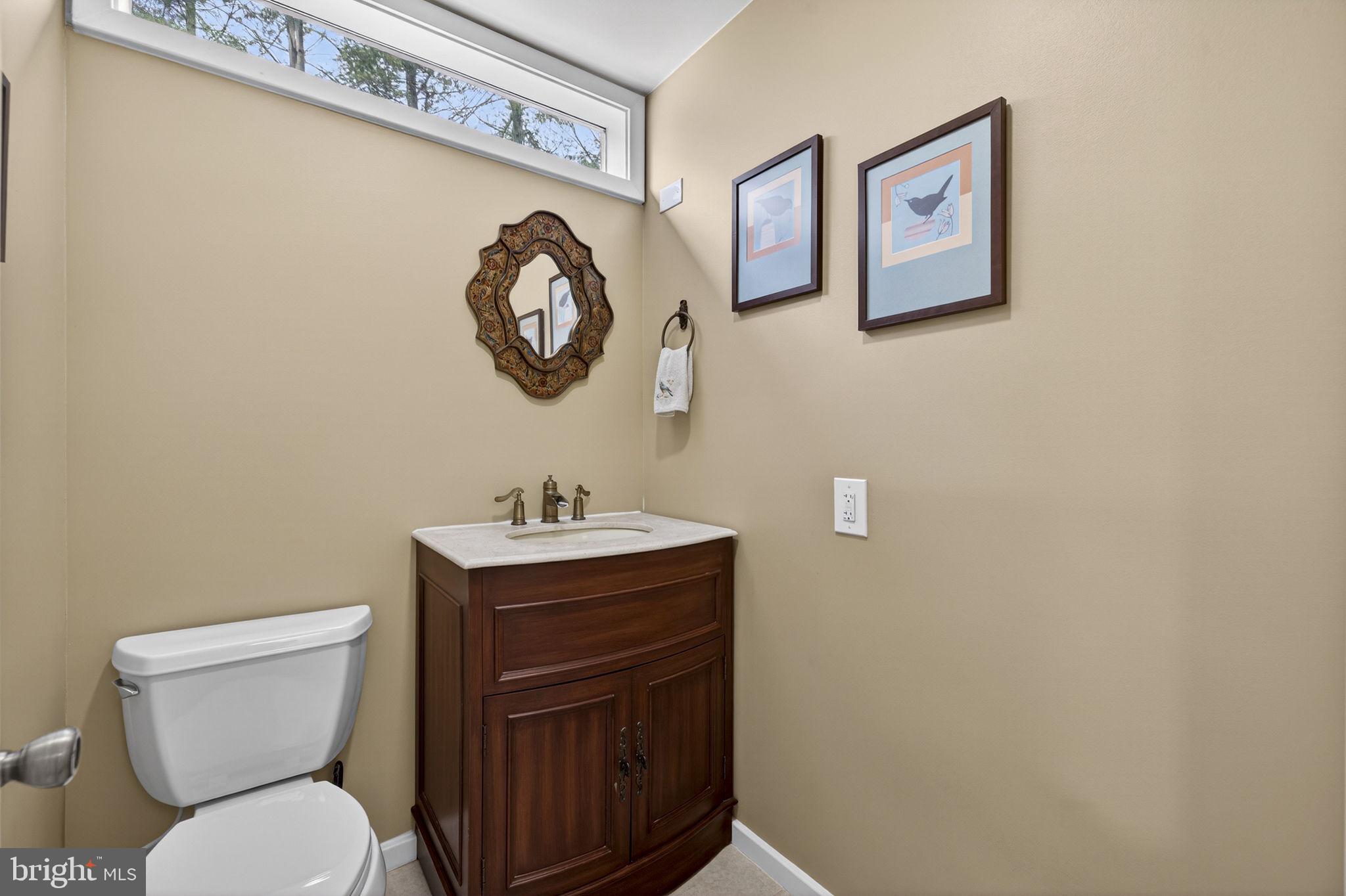 3850 Cobbler Mountain Road Delaplane, VA 20144 - Photo 41 of 132 Powder room