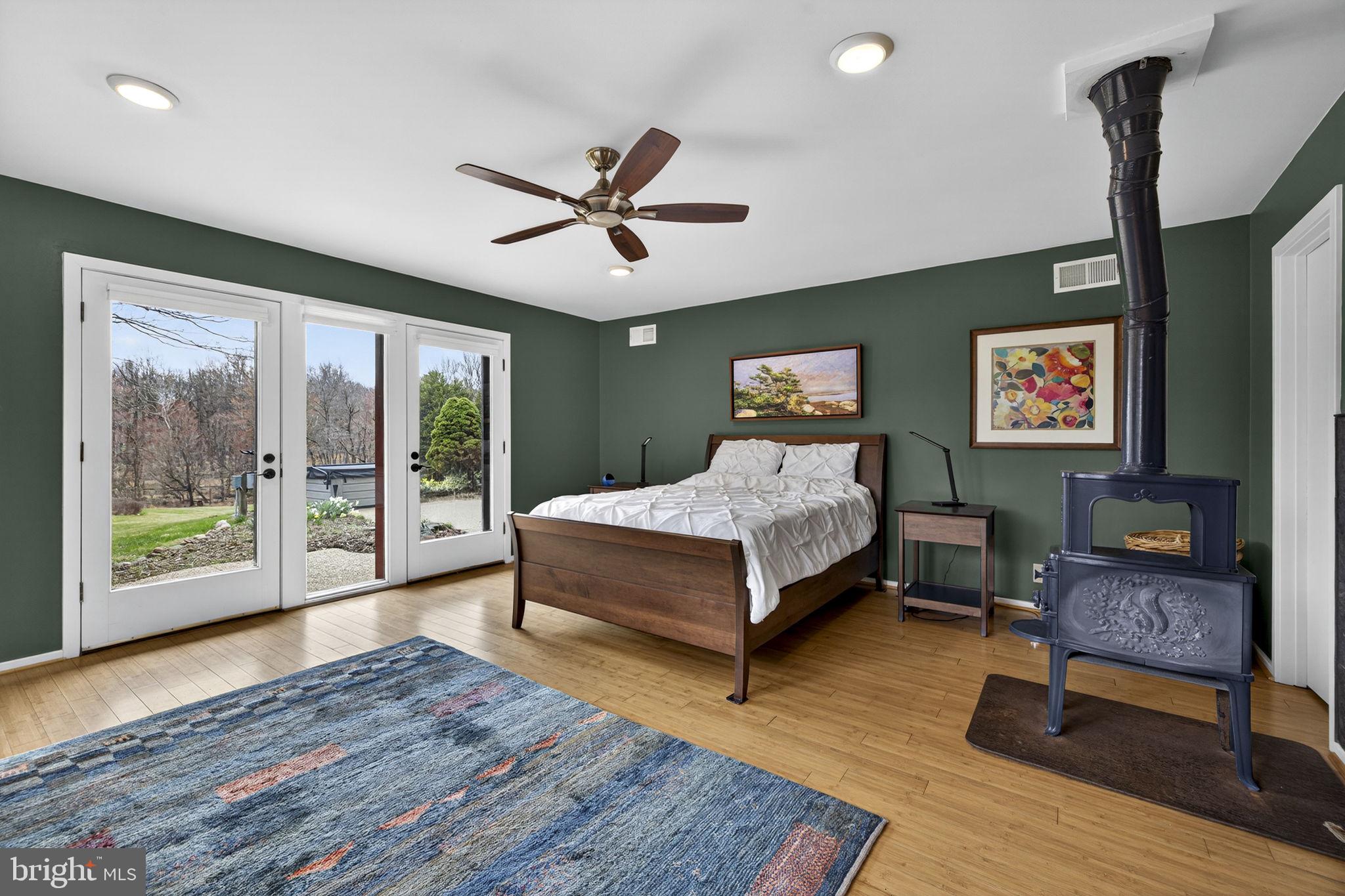 3850 Cobbler Mountain Road Delaplane, VA 20144 - Photo 44 of 132 Primary bedroom