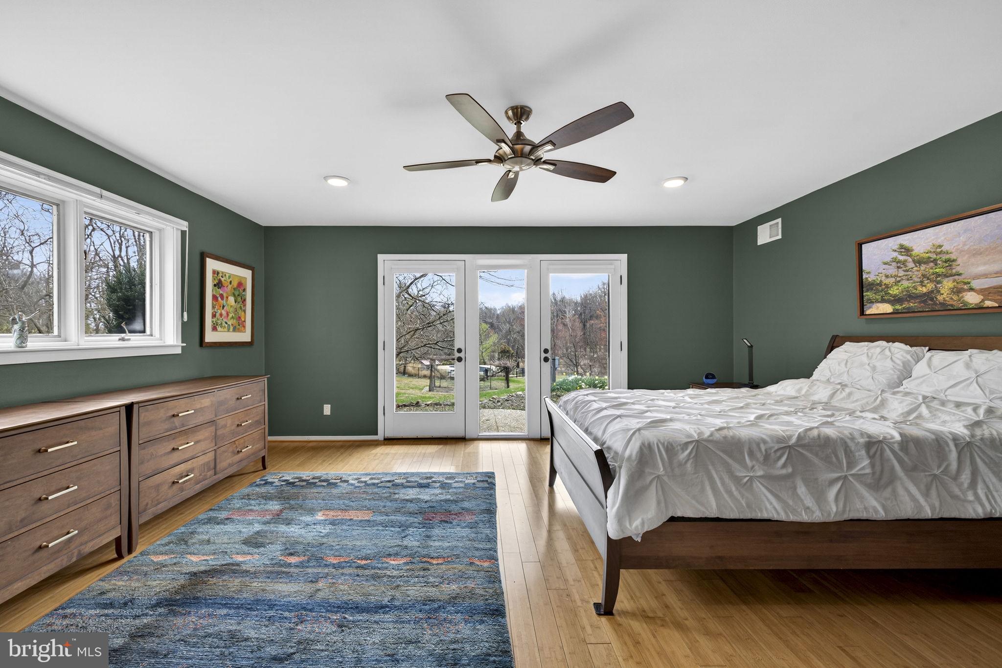 3850 Cobbler Mountain Road Delaplane, VA 20144 - Photo 45 of 132 Primary bedroom