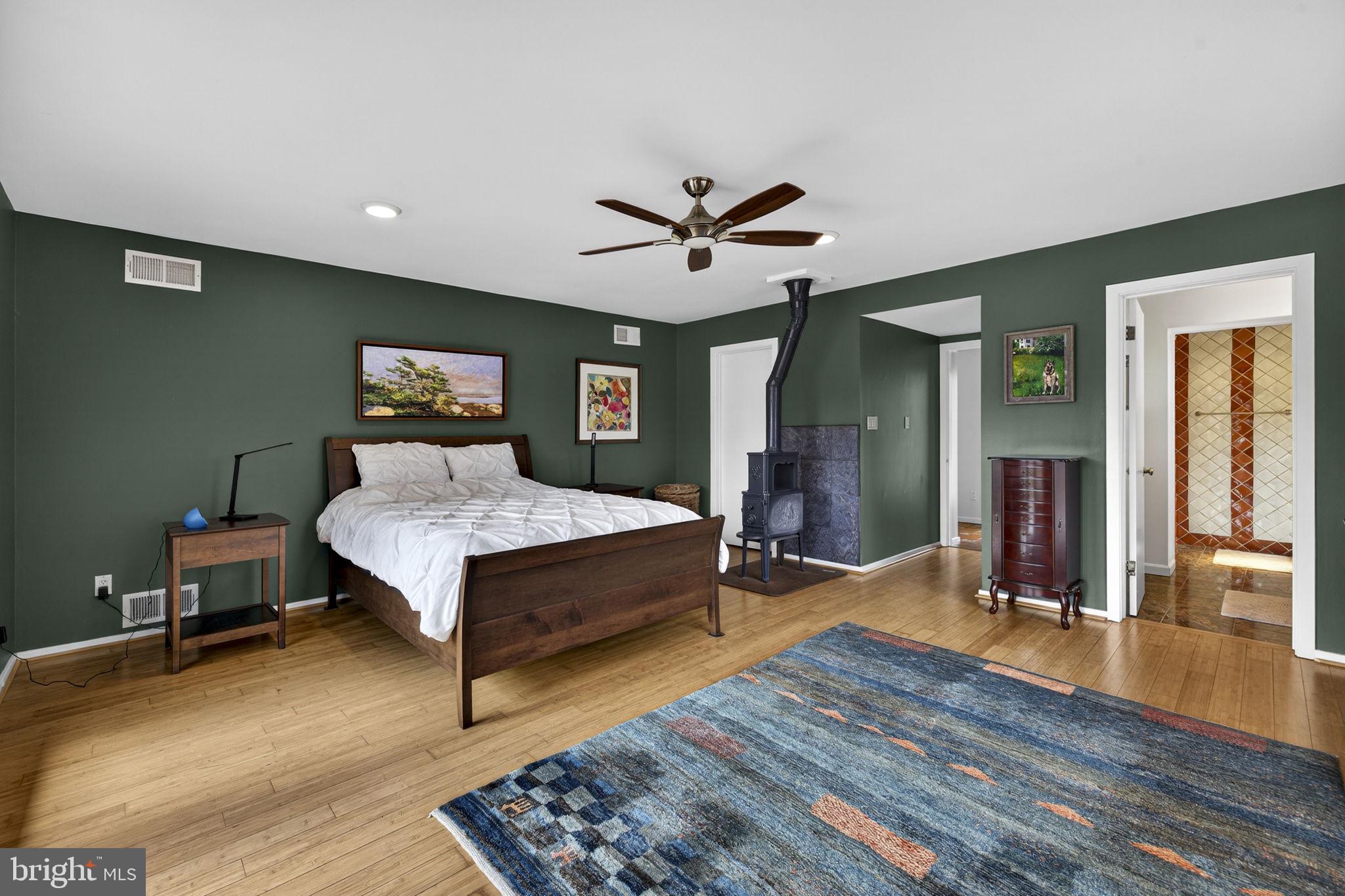 3850 Cobbler Mountain Road Delaplane, VA 20144 - Photo 47 of 132 Primary bedroom