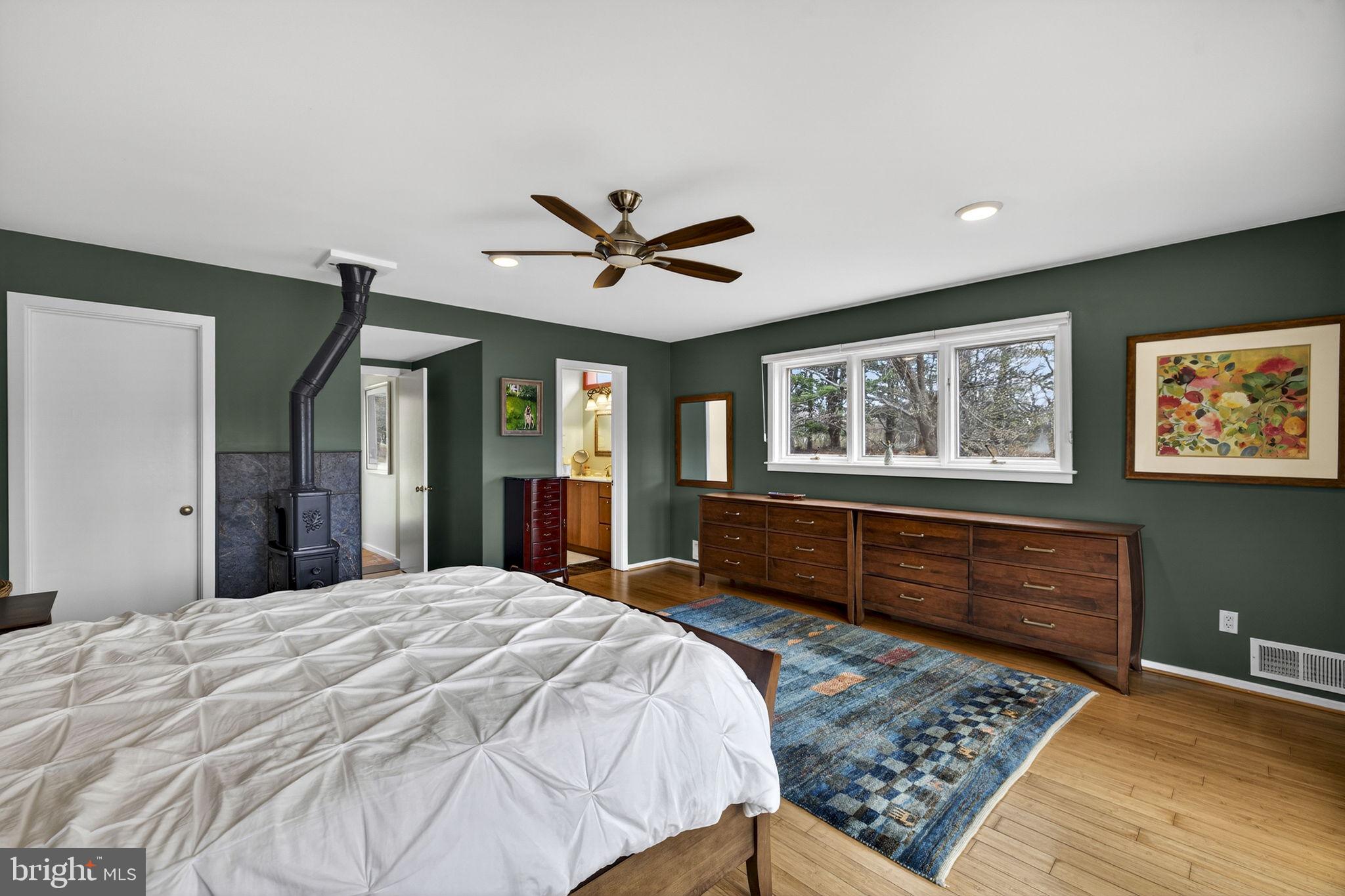 3850 Cobbler Mountain Road Delaplane, VA 20144 - Photo 48 of 132 Primary bedroom