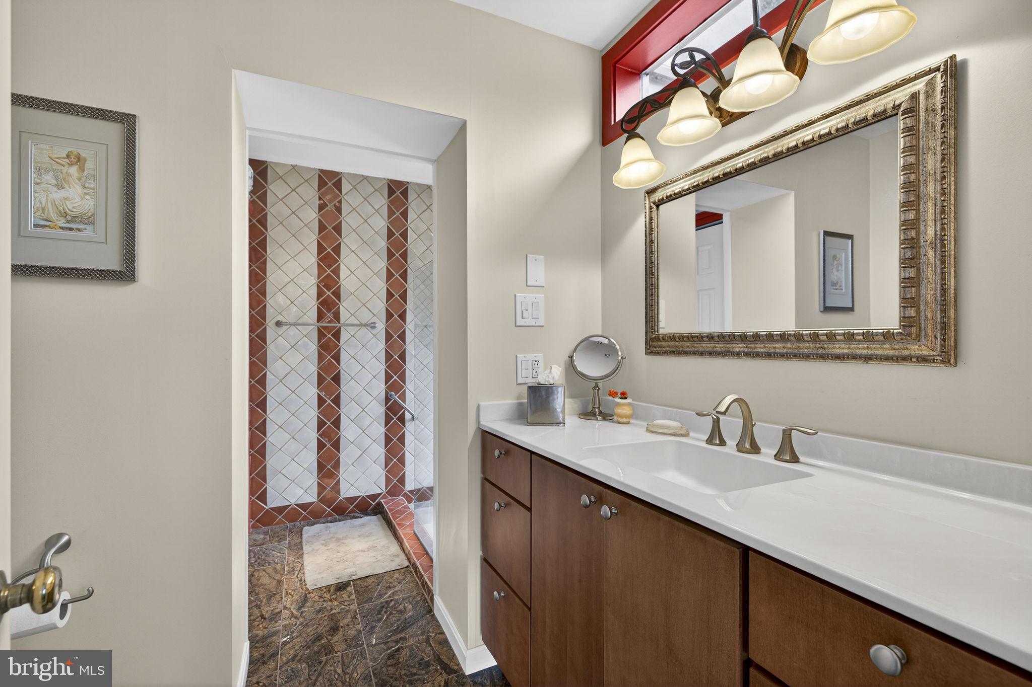 3850 Cobbler Mountain Road Delaplane, VA 20144 - Photo 49 of 132 Primary bath