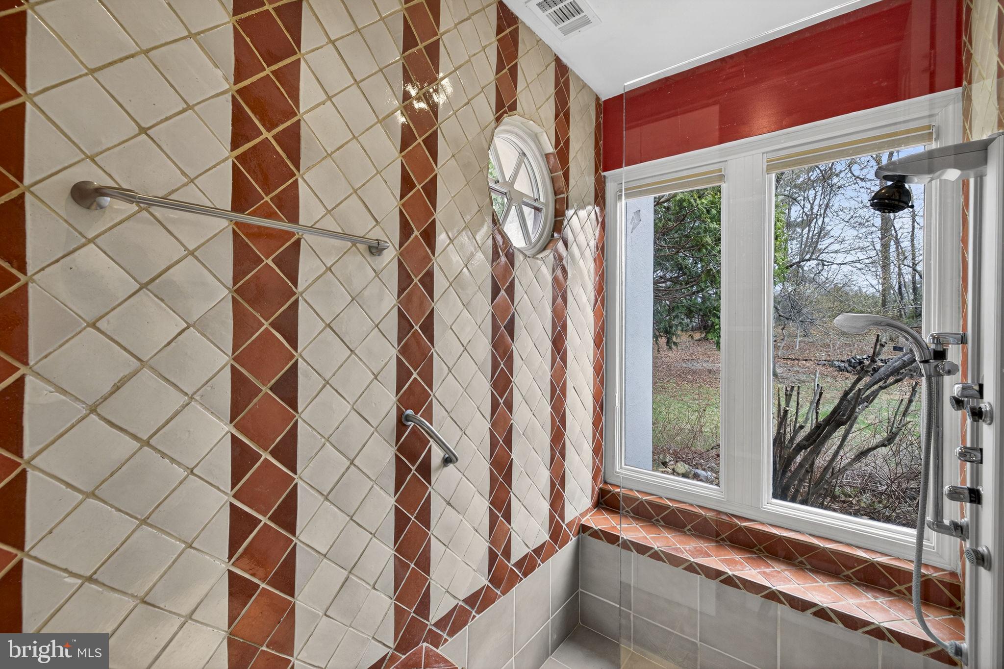 3850 Cobbler Mountain Road Delaplane, VA 20144 - Photo 51 of 132 Primary bath