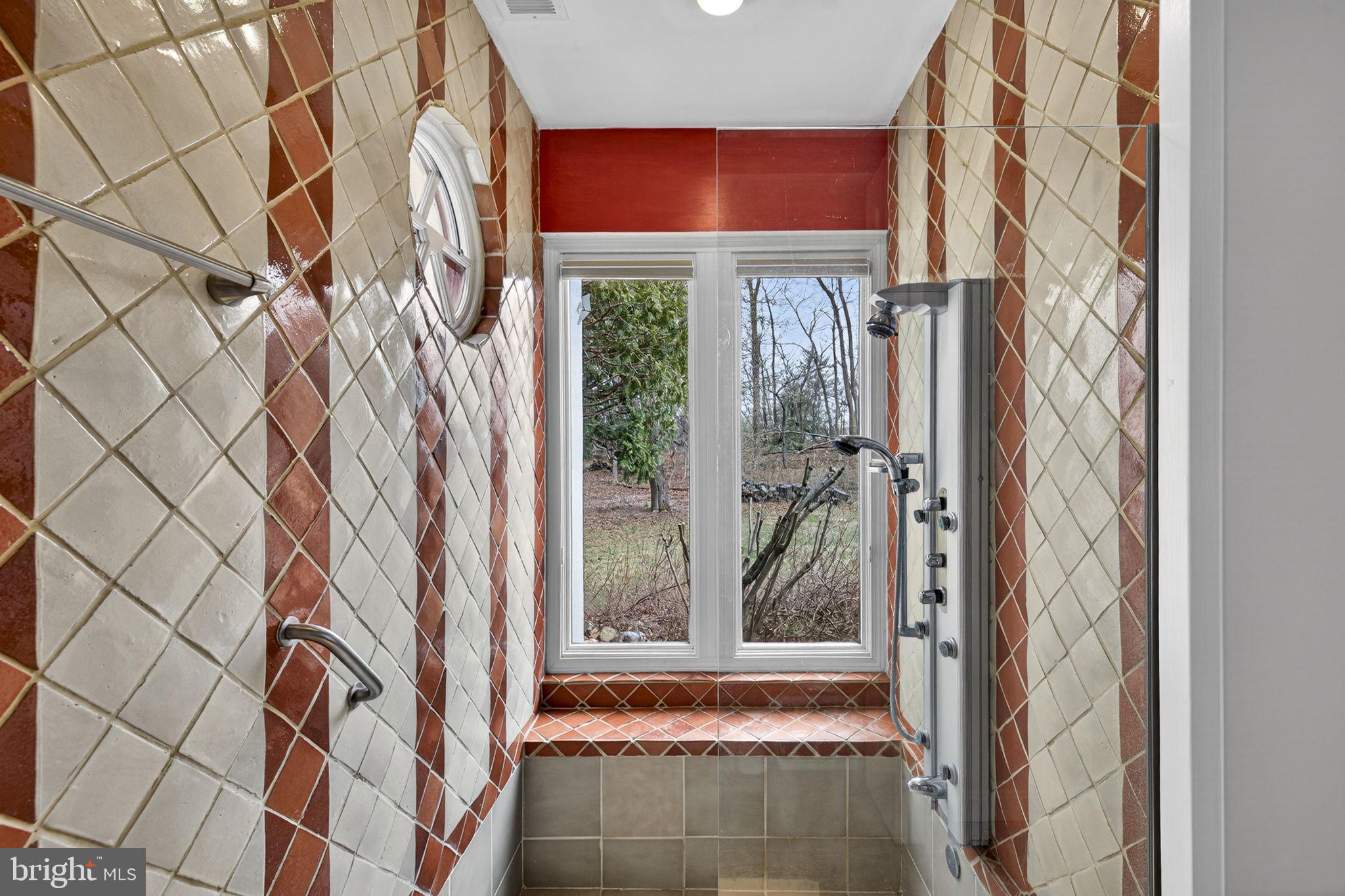 3850 Cobbler Mountain Road Delaplane, VA 20144 - Photo 52 of 132 Primary bath