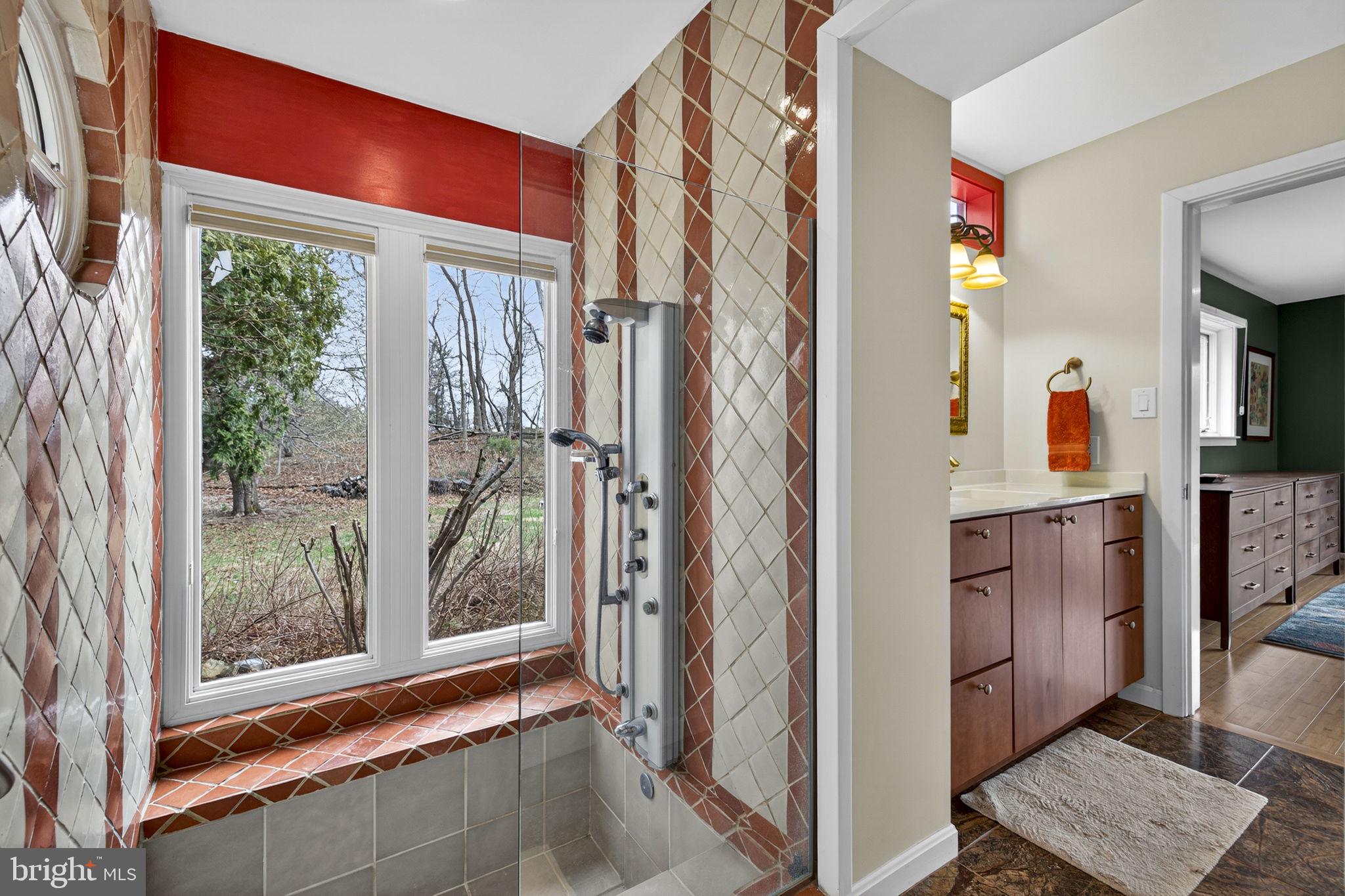 3850 Cobbler Mountain Road Delaplane, VA 20144 - Photo 53 of 132 Primary bath