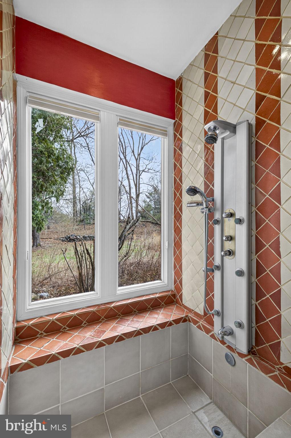 3850 Cobbler Mountain Road Delaplane, VA 20144 - Photo 54 of 132 Primary bath