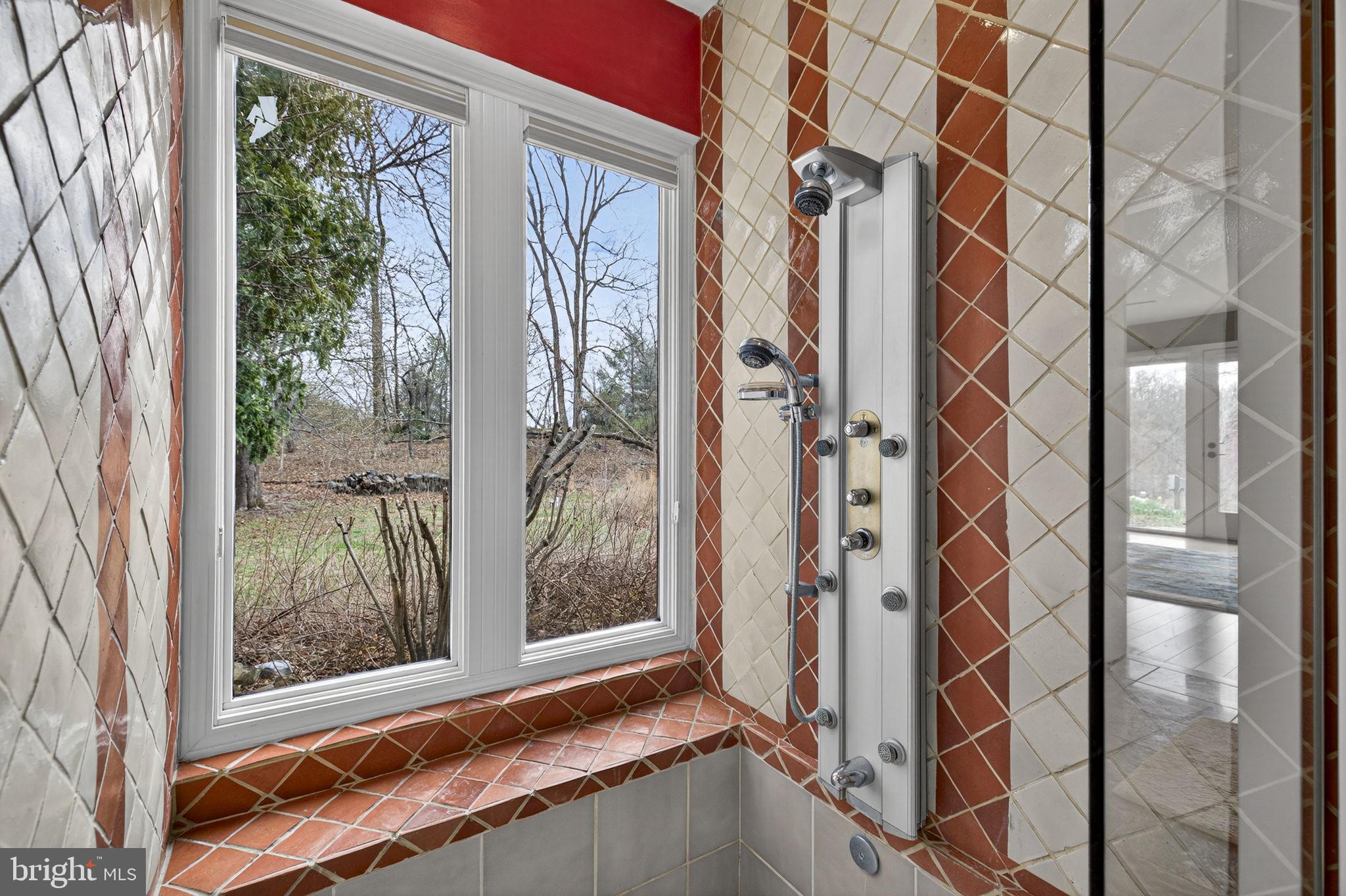 3850 Cobbler Mountain Road Delaplane, VA 20144 - Photo 55 of 132 Primary bath