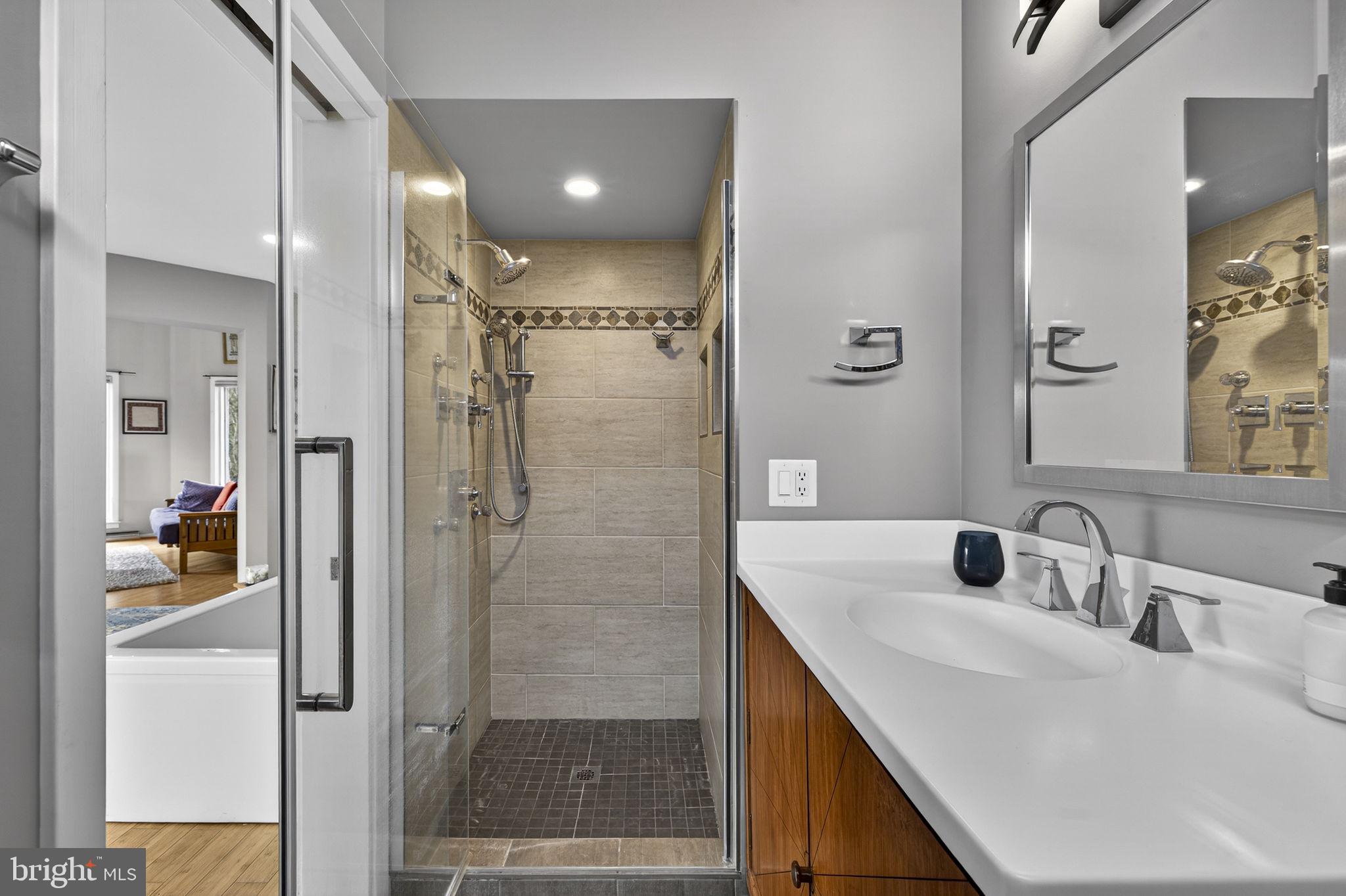 3850 Cobbler Mountain Road Delaplane, VA 20144 - Photo 84 of 132 Bathroom with shower in the Turret has pocket door