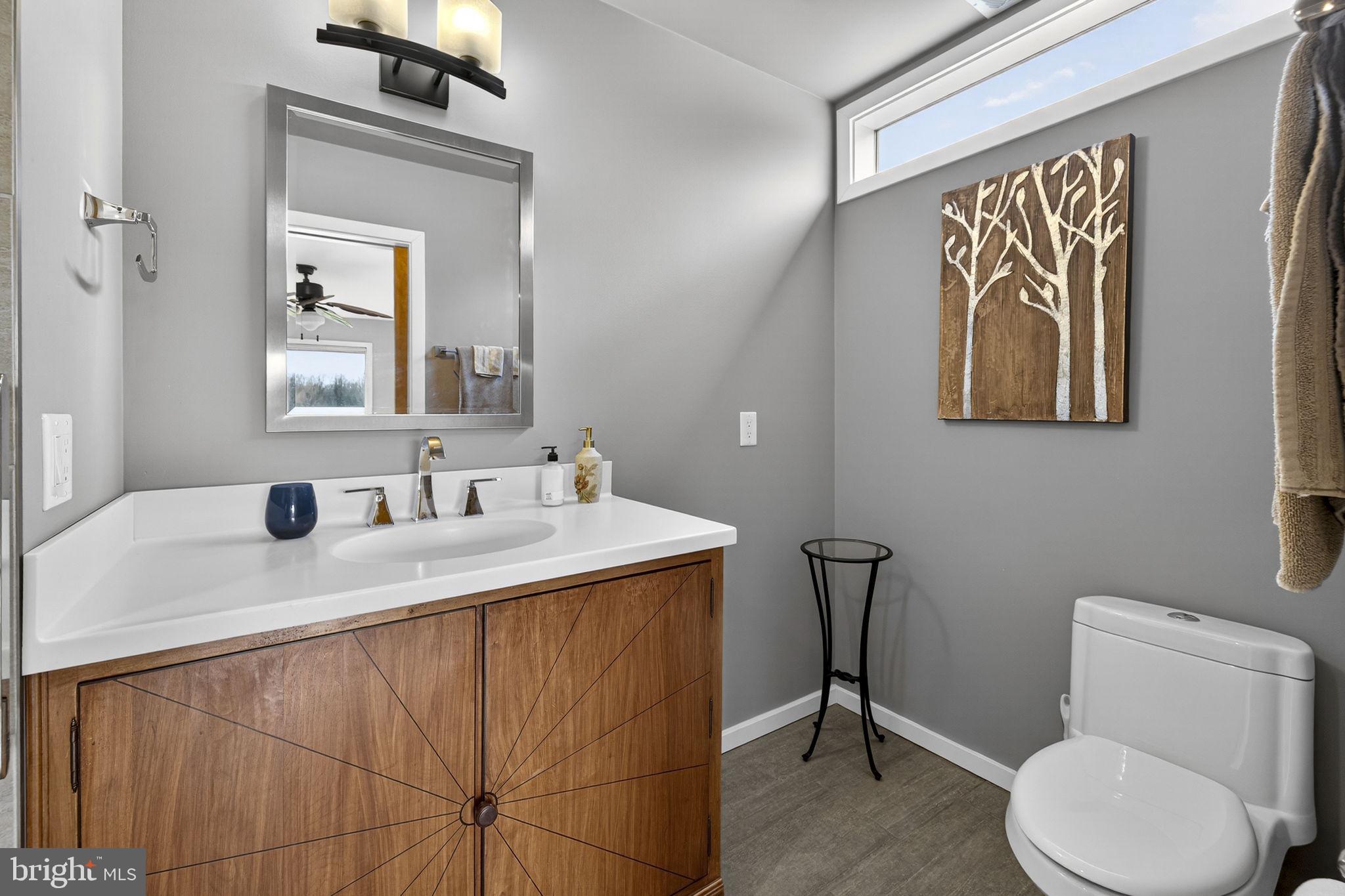 3850 Cobbler Mountain Road Delaplane, VA 20144 - Photo 85 of 132 Bathroom with shower in the Turret has pocket door