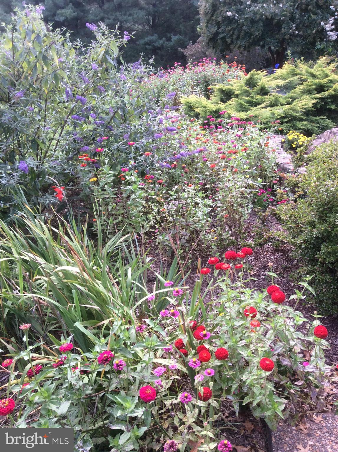 3850 Cobbler Mountain Road Delaplane, VA 20144 - Photo 90 of 132 Seasonal flowers