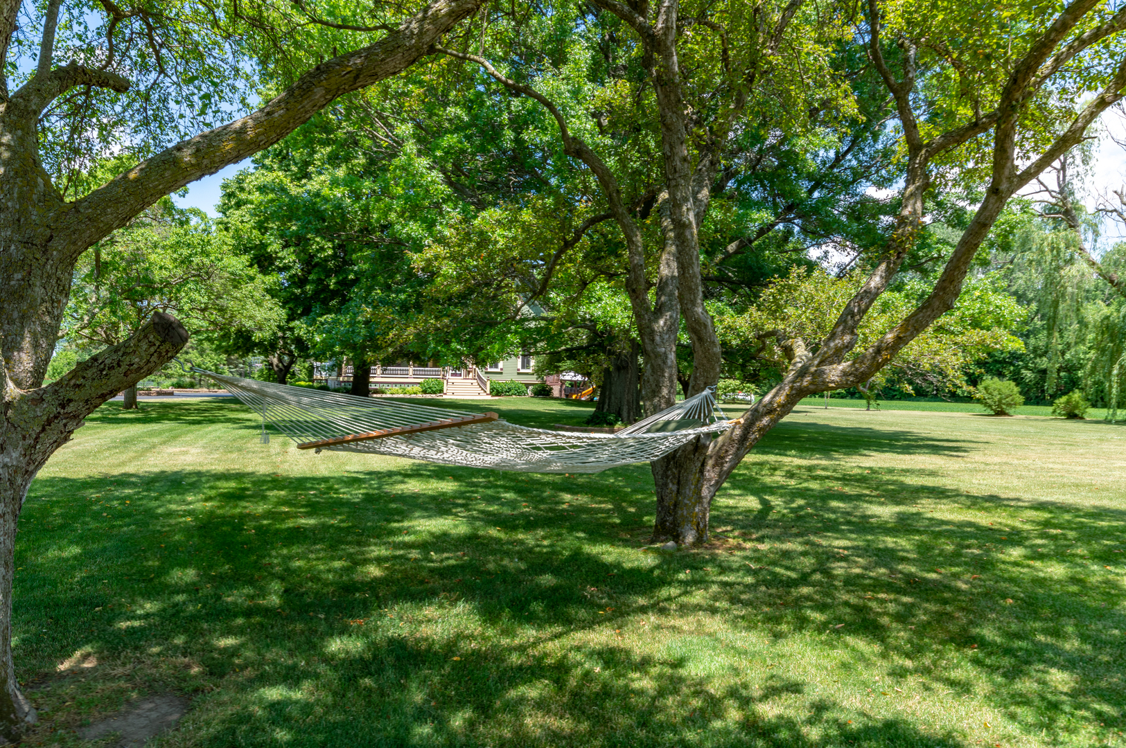 14415 Bethany Road Sycamore, IL 60178 - Photo 22 of 94 a view of a park with large trees