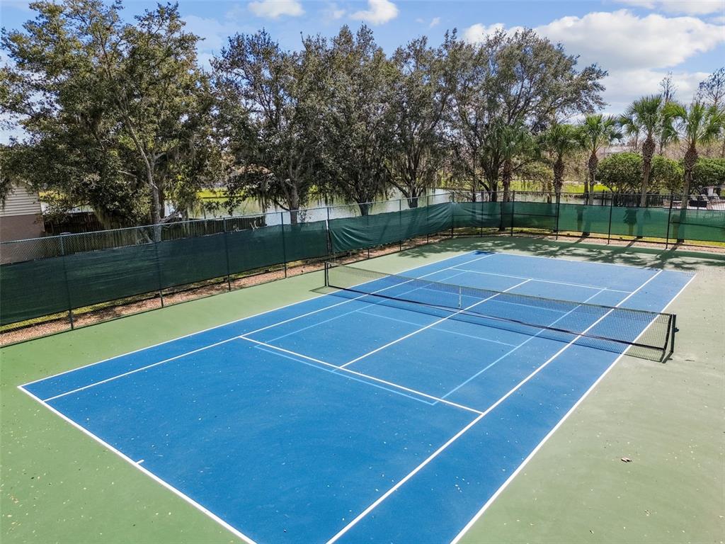 32323 Fish Hook Loop Wesley Chapel, FL 33545 - Photo 70 of 76
