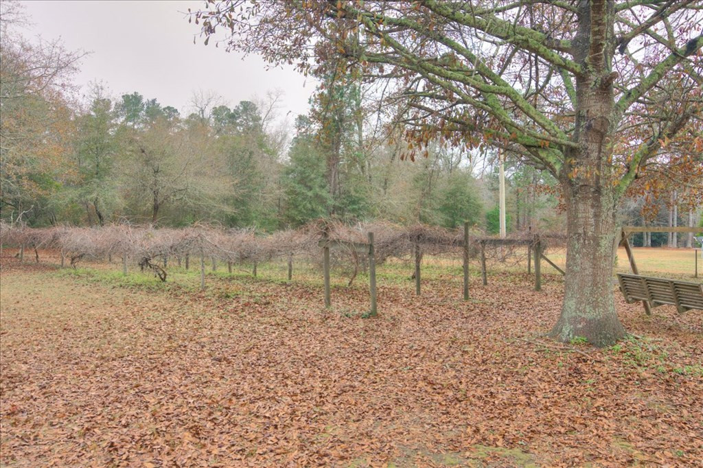 764-766 Blacks Road Williston, SC 29853 - Photo 67 of 75