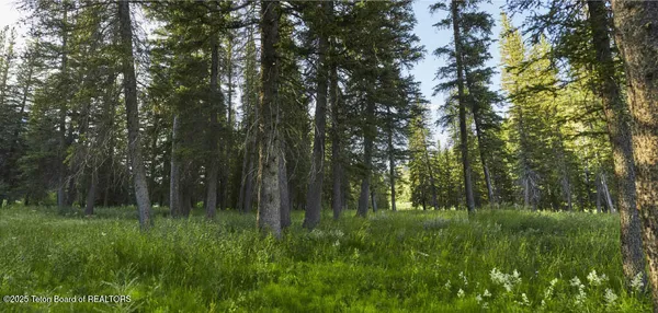 $1,595,000 | 15555 Wagon Road, Jackson, WY 83001