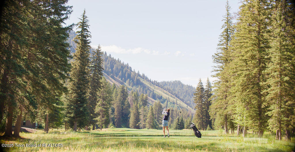 15555 Wagon Road Jackson, WY 83001 - Photo 4 of 22 4