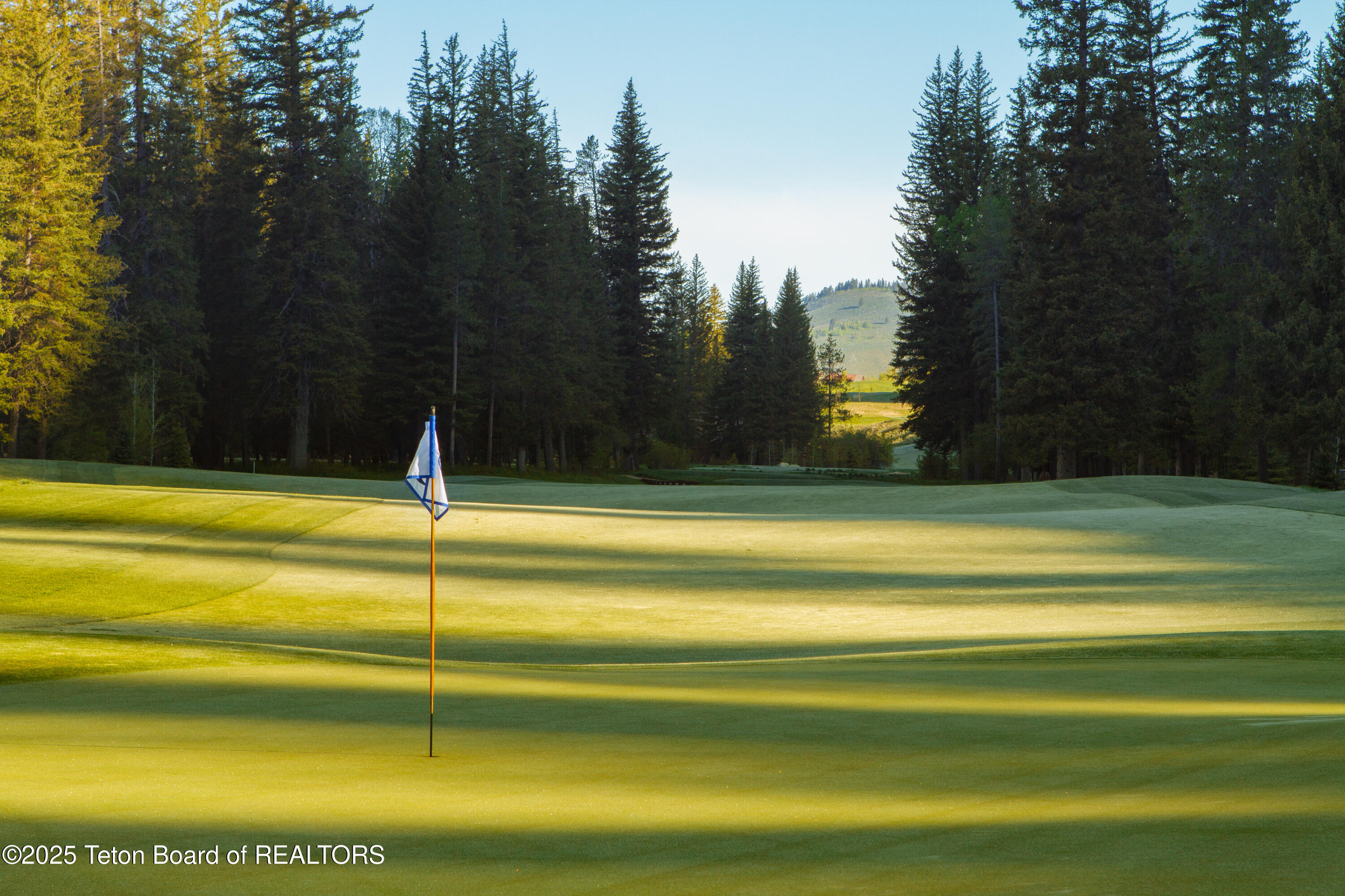 15555 Wagon Road Jackson, WY 83001 - Photo 8 of 22 8