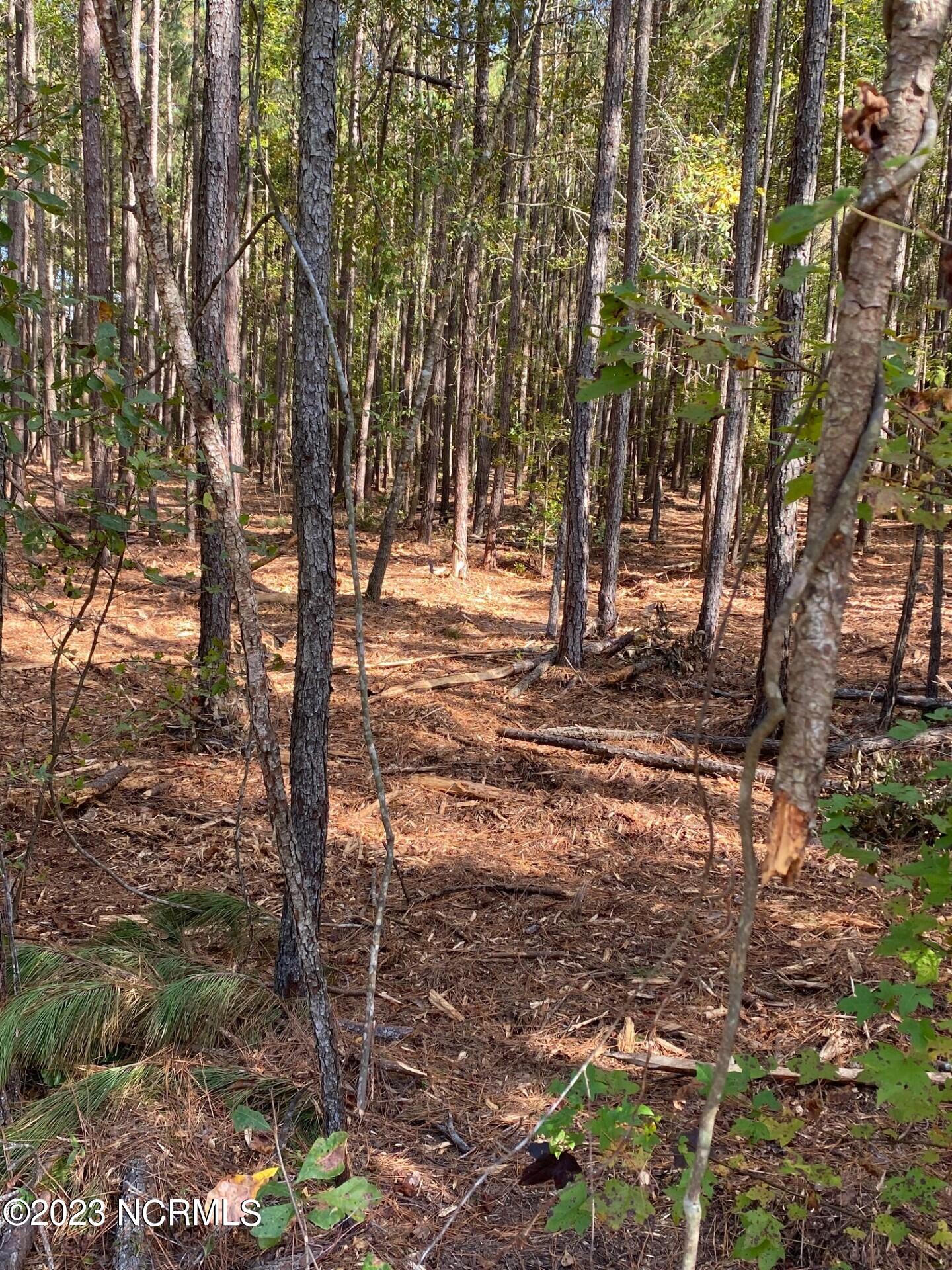 1 Highsmith Road Rocky Point, NC 28457 - Photo 1 of 19 Highsmith Rd