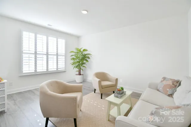a living room with furniture and a potted plant
