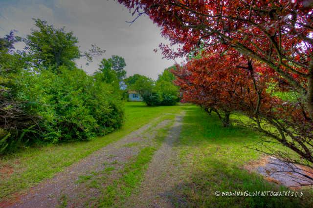 3290 Joe Brown Road Murfreesboro, TN 37129 - Photo 2 of 20 Gallery Image 2