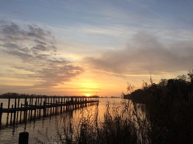 4 River Chase Road Apalachicola, FL 32320 - Photo 11 of 15